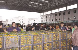 上饶农产品交易城 打造集交易、展览、展示于一体的综合性国际农副产品与鞋帽批发新枢纽